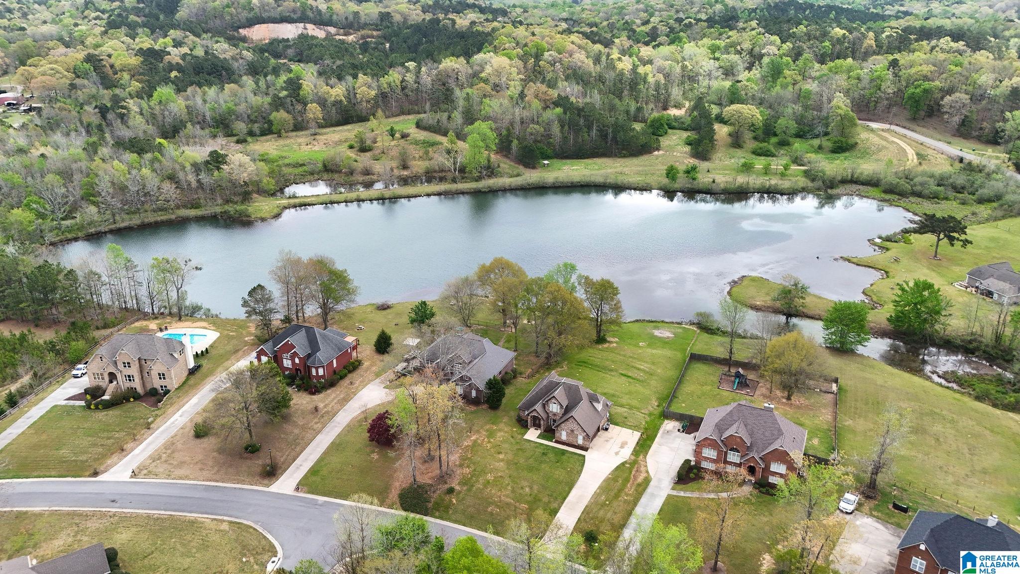 20737 Waters View McCalla, AL 35111 - Photo 12 of 43