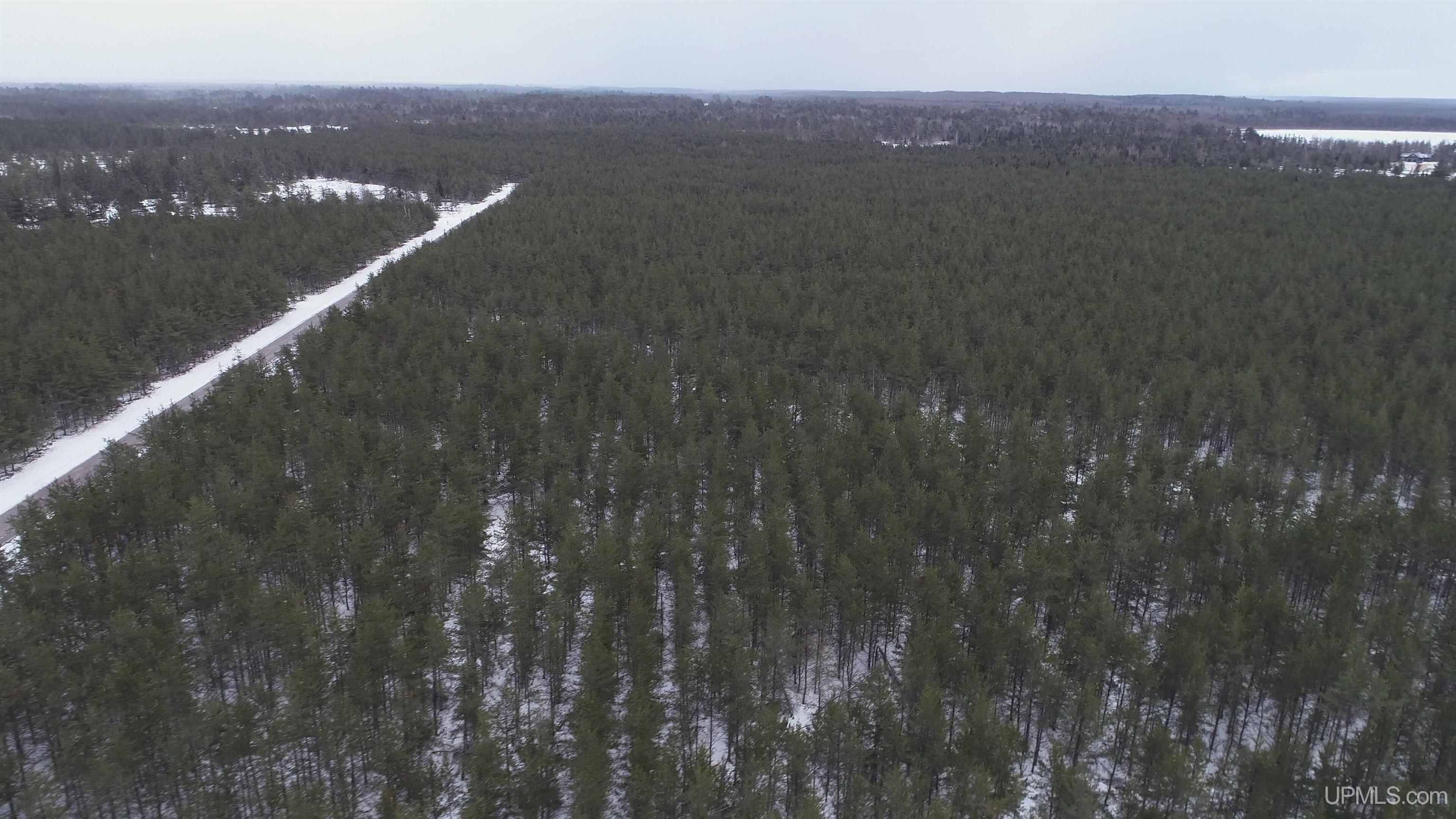 1 Rice Lake Road Gwinn, MI 49841 - Photo 18 of 25