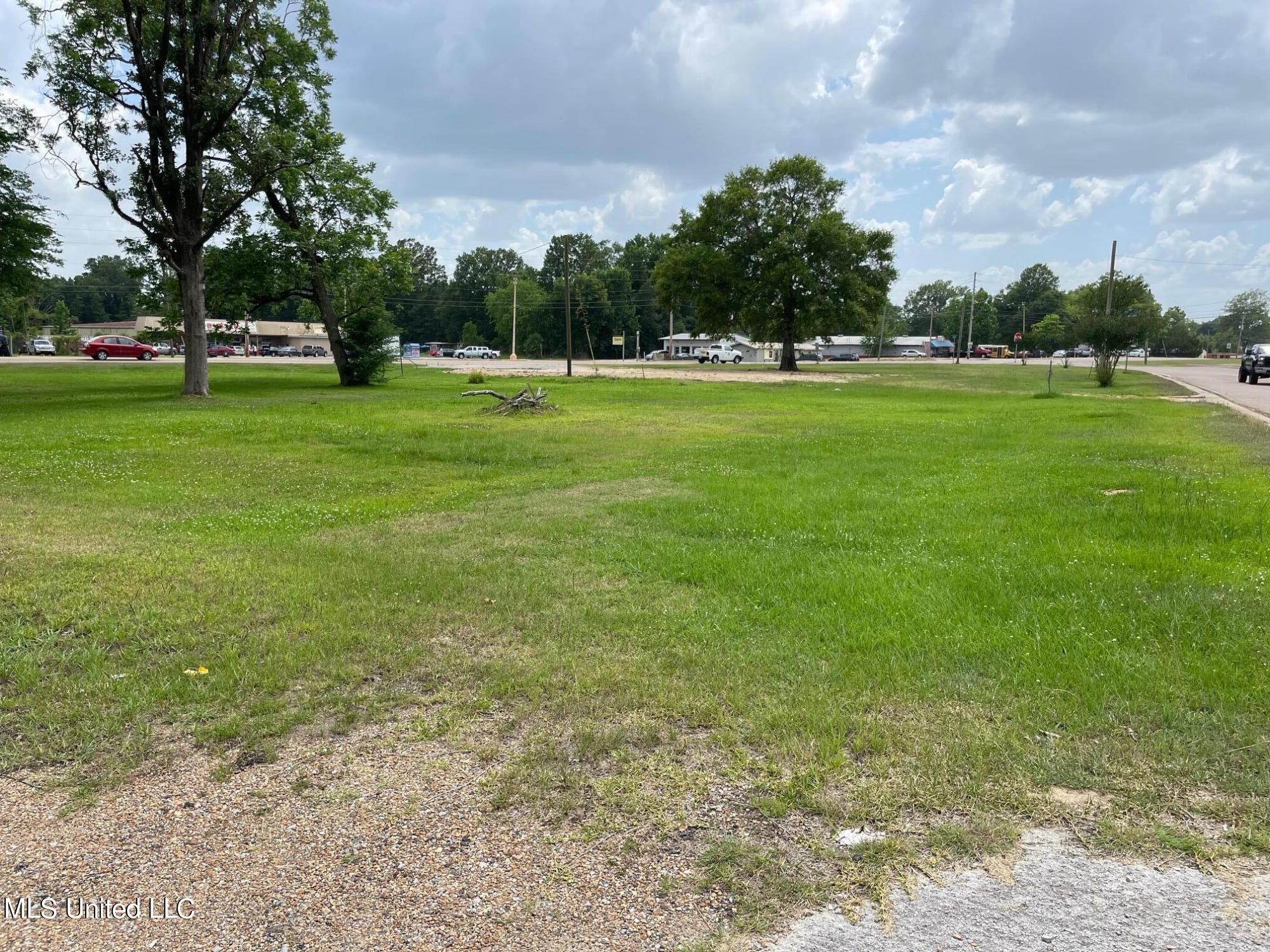 1176 East 3rd Street Forest, MS 39074 - Photo 13 of 15 IMG_4337