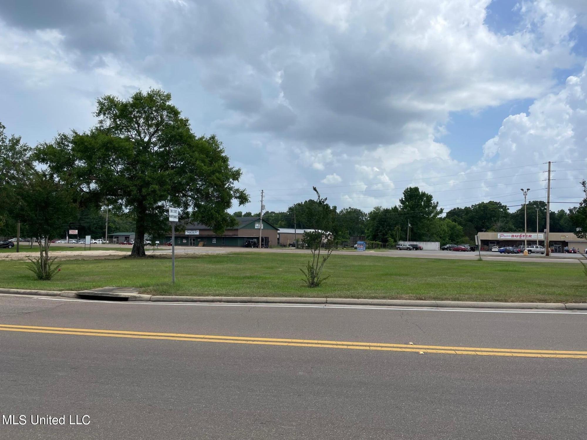 1176 East 3rd Street Forest, MS 39074 - Photo 4 of 15 IMG_4327