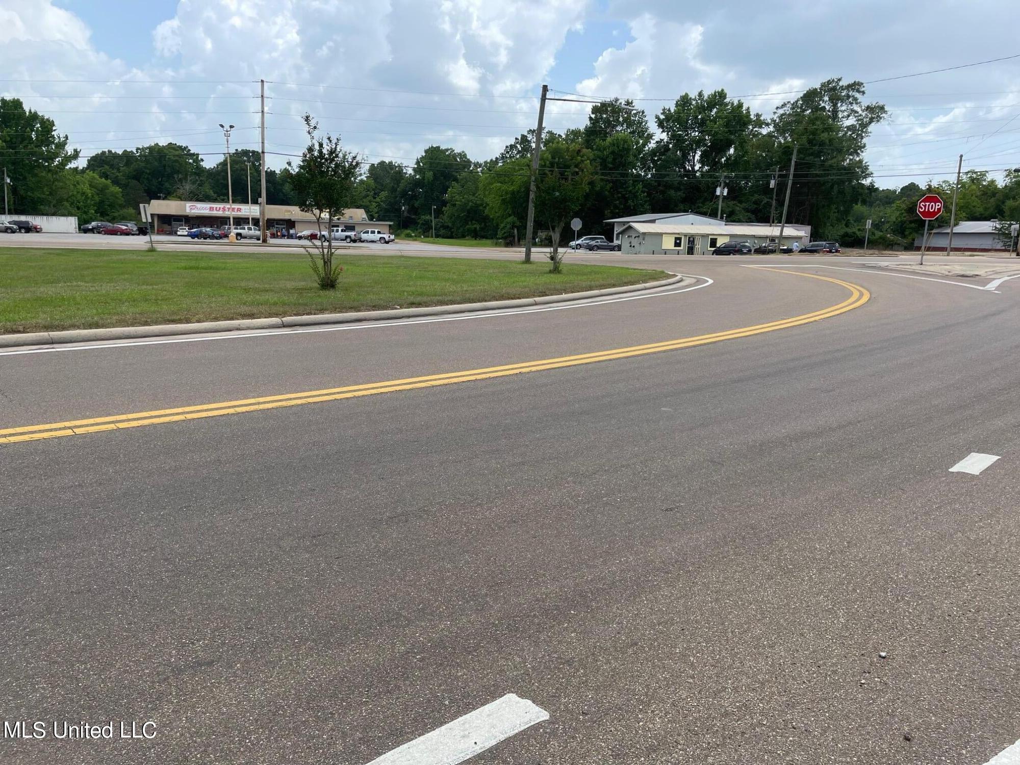 1176 East 3rd Street Forest, MS 39074 - Photo 5 of 15 IMG_4329