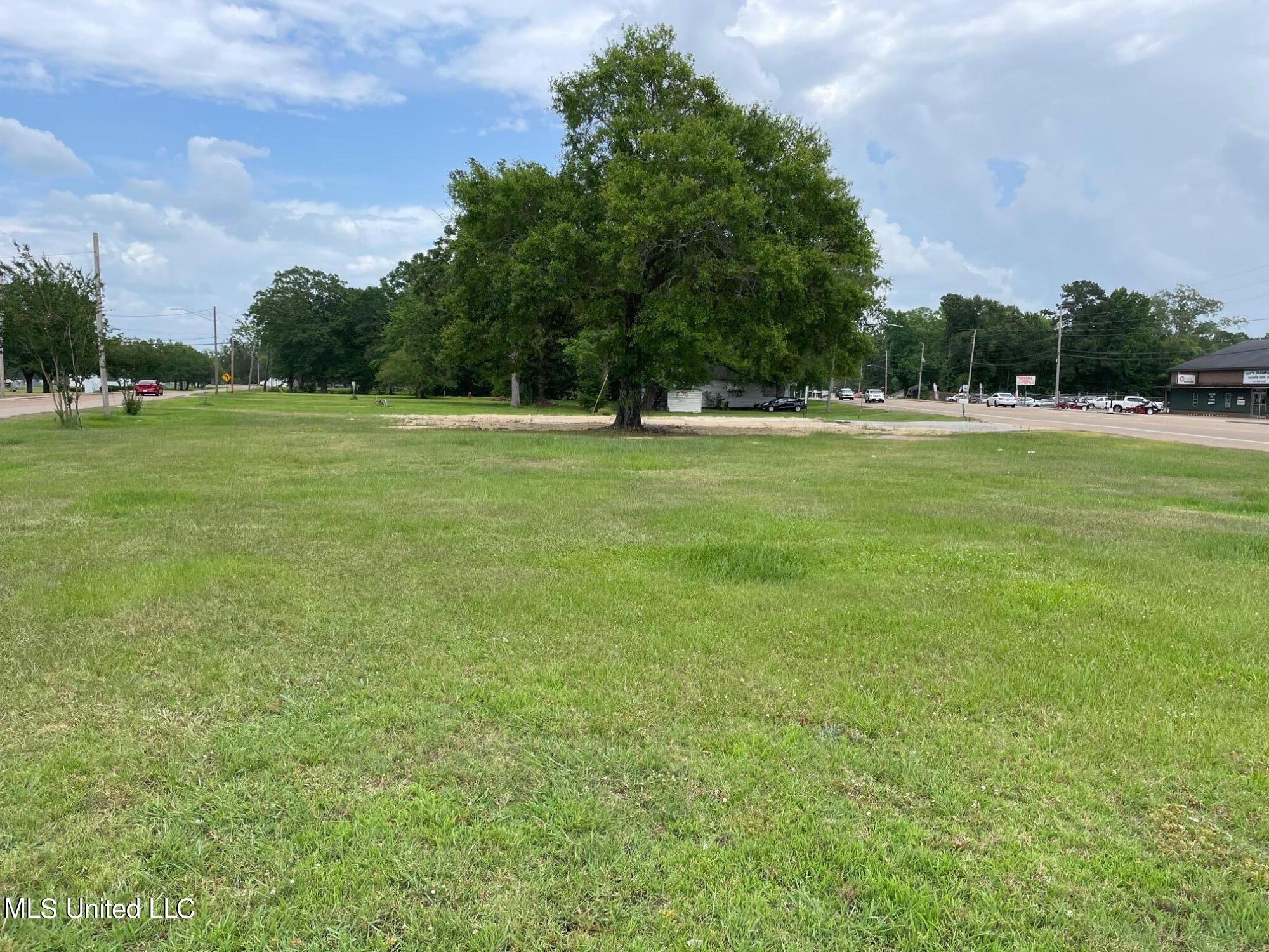 1176 East 3rd Street Forest, MS 39074 - Photo 6 of 15 IMG_4330