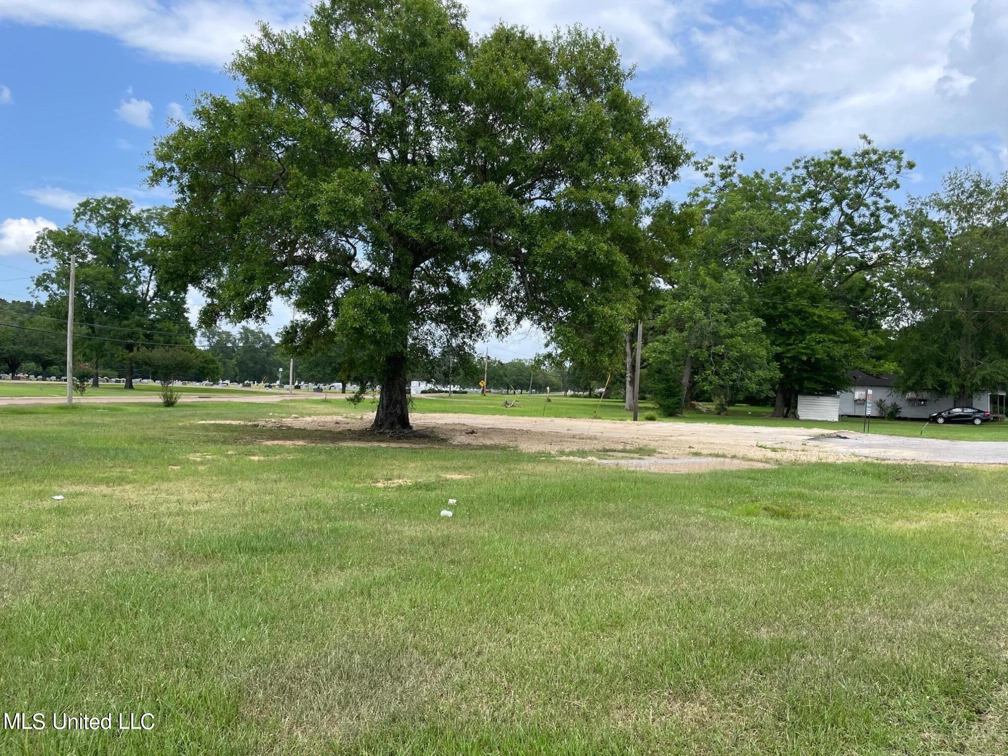 1176 East 3rd Street Forest, MS 39074 - Photo 8 of 15 IMG_4332