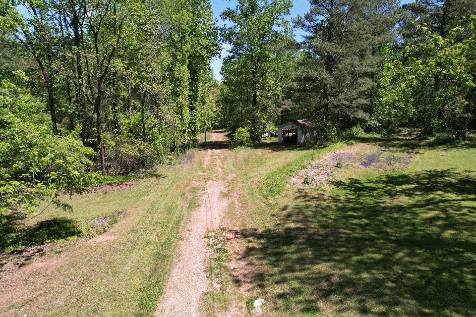 6675 Millwood Road Gainesville, GA 30506 - Photo 13 of 13 a view of a yard with trees
