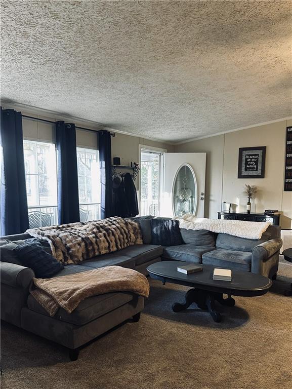 6675 Millwood Road Gainesville, GA 30506 - Photo 4 of 13 a living room with furniture and a window