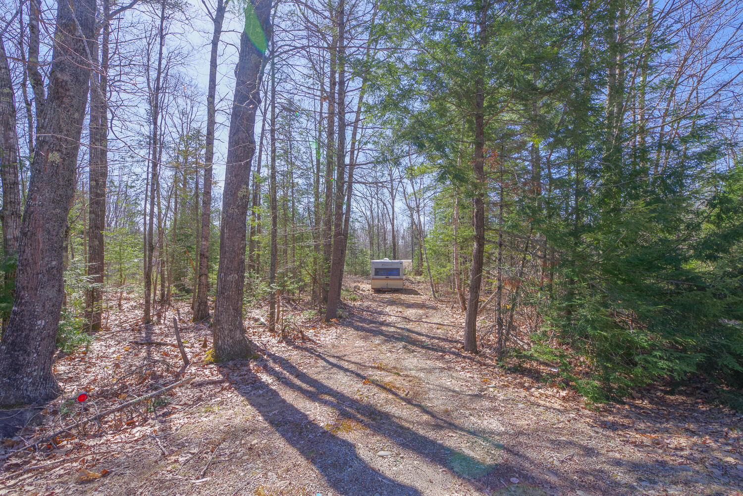 0 Higgins Hill Road Morrill, ME 04952 - Photo 11 of 14 244 Higgins Hill Rd 11