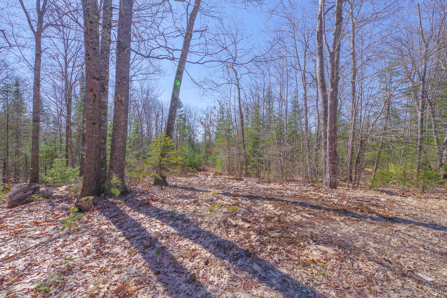 0 Higgins Hill Road Morrill, ME 04952 - Photo 12 of 14 244 Higgins Hill Rd 12