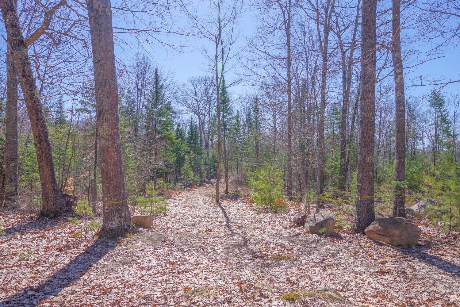 0 Higgins Hill Road Morrill, ME 04952 - Photo 13 of 14 244 Higgins Hill Rd 13