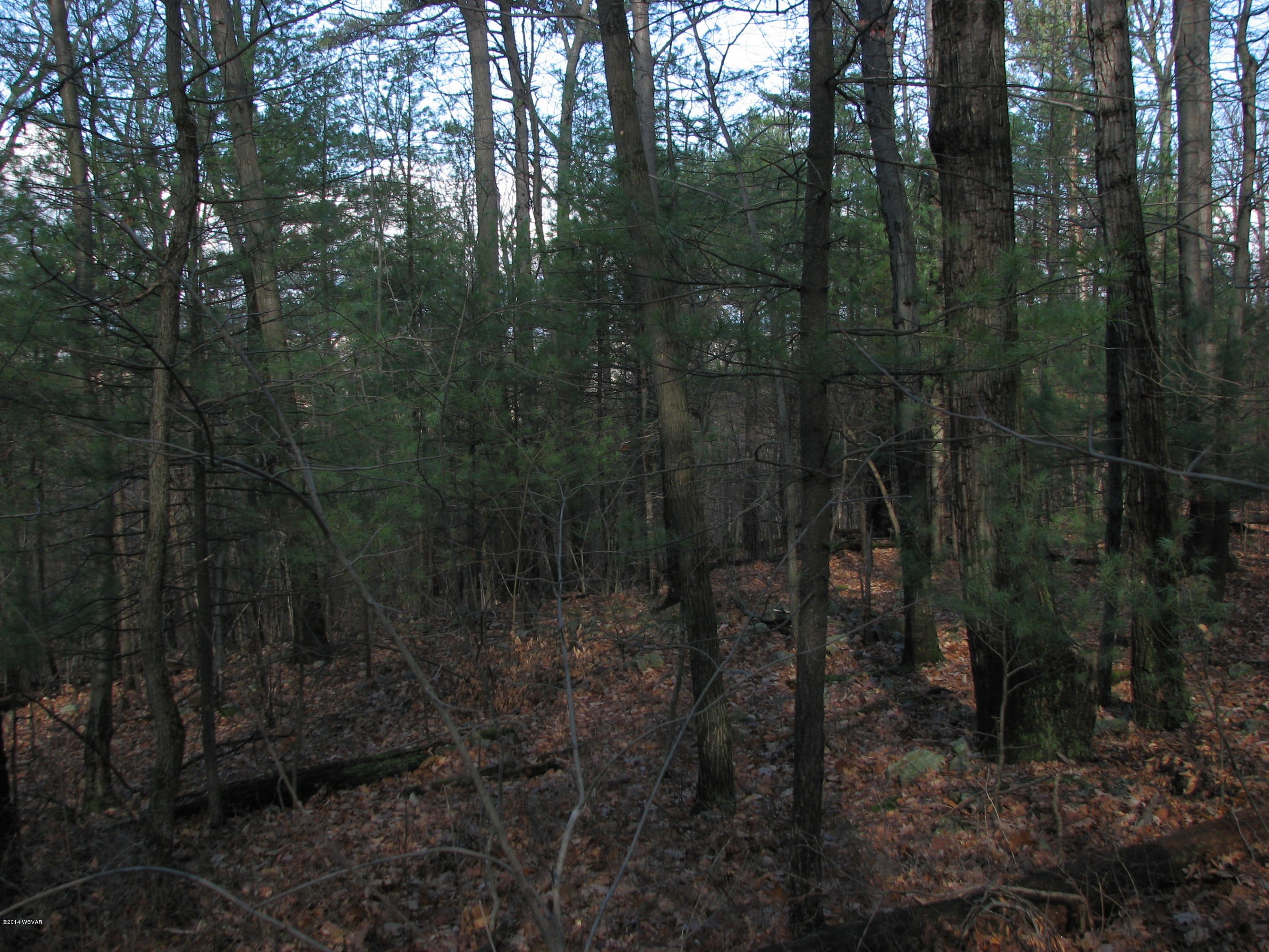 0 Tower Road Danville, PA 17821 - Photo 3 of 5 IMG_0125