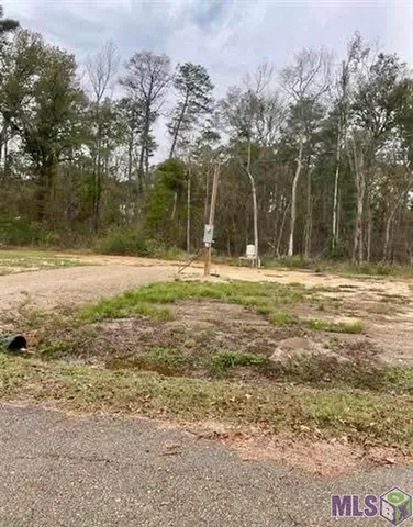 $59,900 | 28489 Shadow Lake Drive, Holden, LA 70744