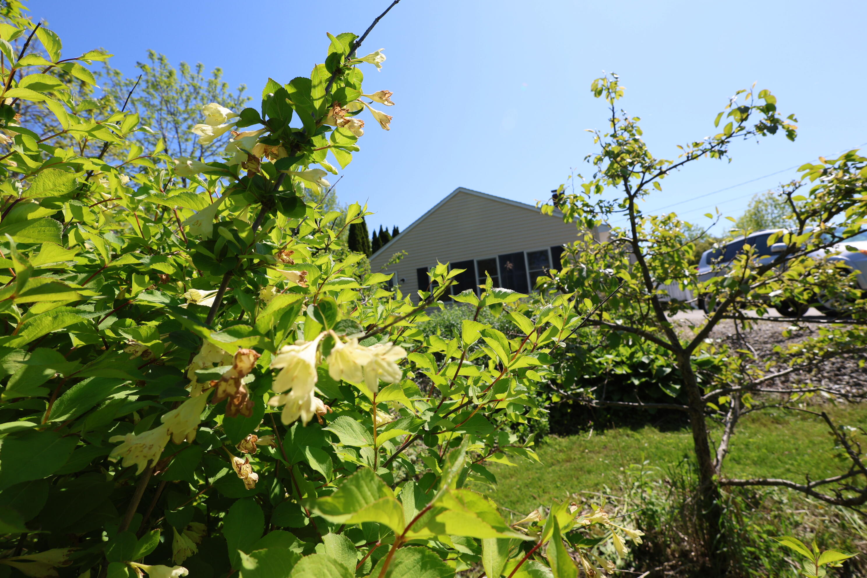 281 Post Road Bowdoinham, ME 04008 - Photo 50 of 104 IMG_2991 1