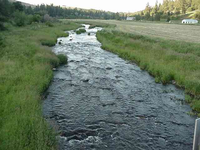 2001 Elberton Road Garfield, WA 99130 - Photo 4 of 9
