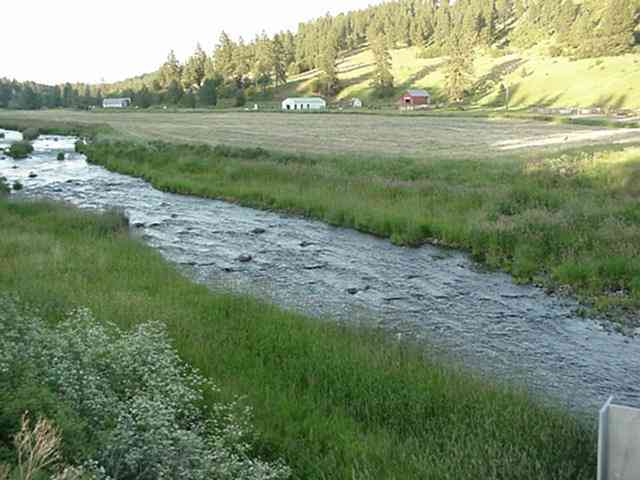 2001 Elberton Road Garfield, WA 99130 - Photo 5 of 9