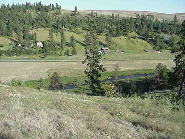 2001 Elberton Road Garfield, WA 99130 - Photo 6 of 9