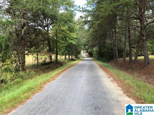 798 Starnes Chapel Road Blountsville, AL 35031 - Photo 22 of 22