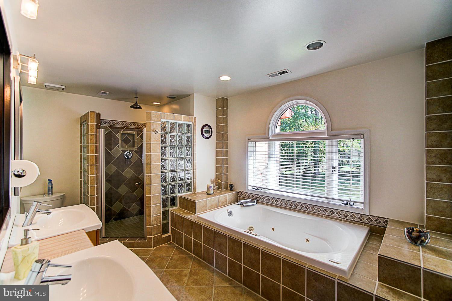 1725 Beulah Road Vienna, VA 22182 - Photo 23 of 30 Bath (Master)