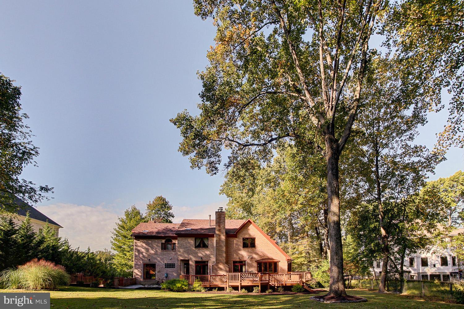 Exterior (Rear)
