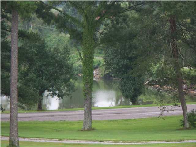 2005 New Lake Road Spring City, TN 37381 - Photo 2 of 25 Additional Photo