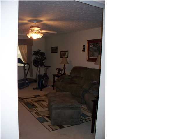 2005 New Lake Road Spring City, TN 37381 - Photo 13 of 25 Additional Photo