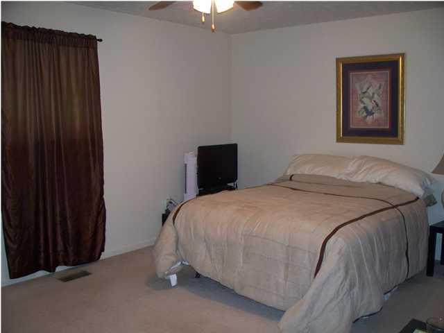 2005 New Lake Road Spring City, TN 37381 - Photo 14 of 25 Additional Photo