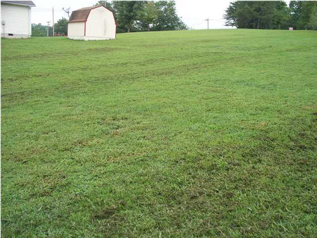 2005 New Lake Road Spring City, TN 37381 - Photo 20 of 25 Additional Photo