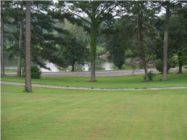 2005 New Lake Road Spring City, TN 37381 - Photo 24 of 25 Additional Photo