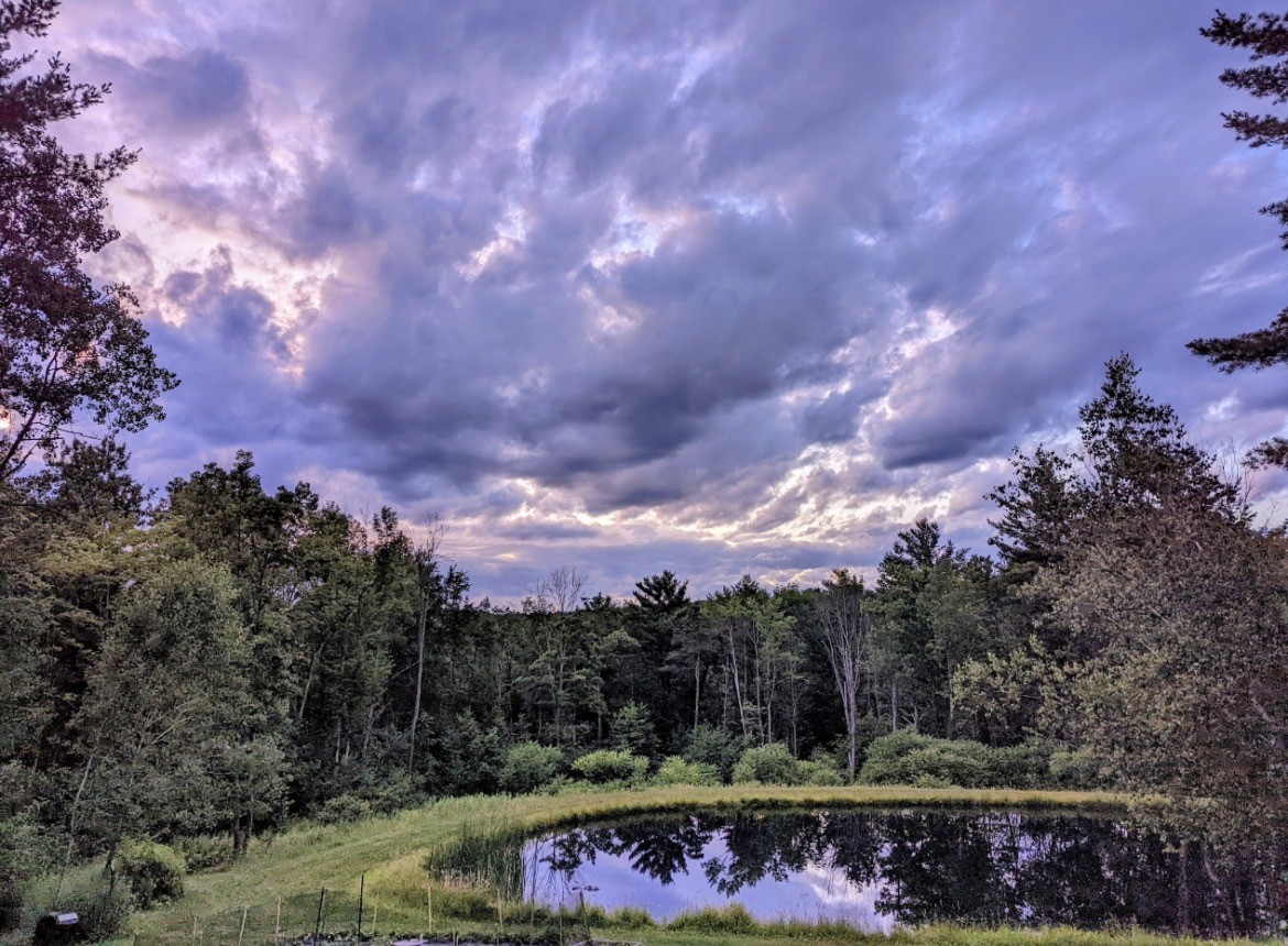 115 Dumas Hill Road Port Crane, NY 13833 - Photo 42 of 44