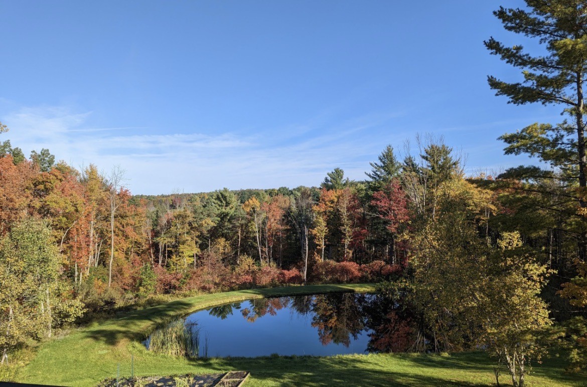 115 Dumas Hill Road Port Crane, NY 13833 - Photo 43 of 44