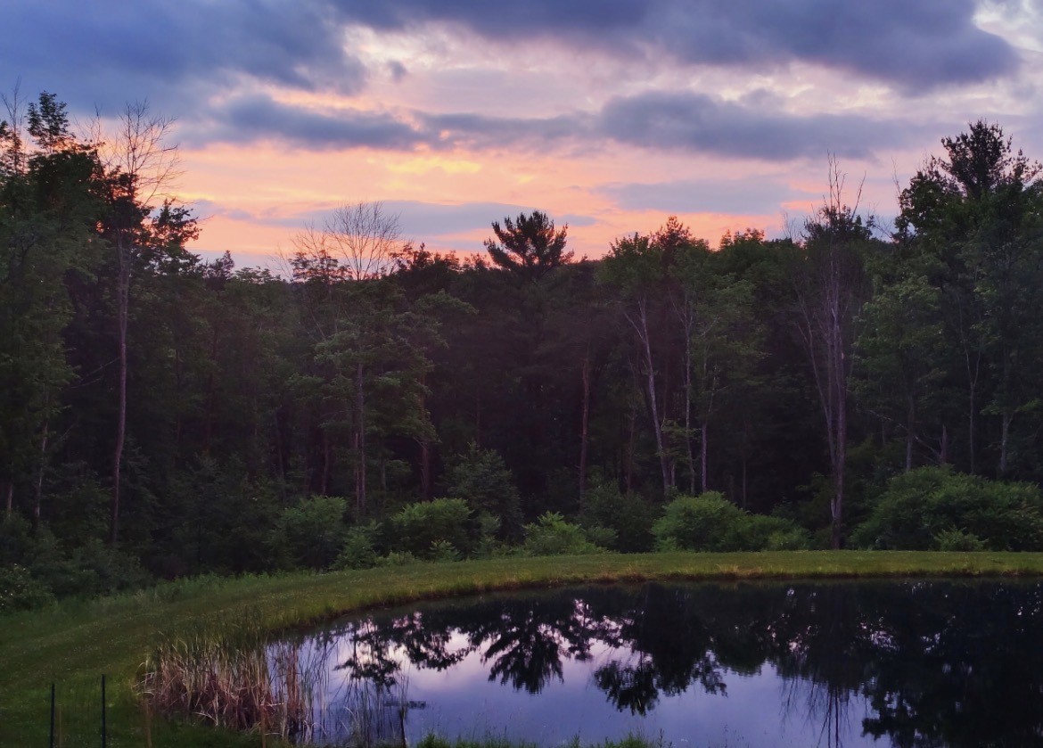 115 Dumas Hill Road Port Crane, NY 13833 - Photo 44 of 44