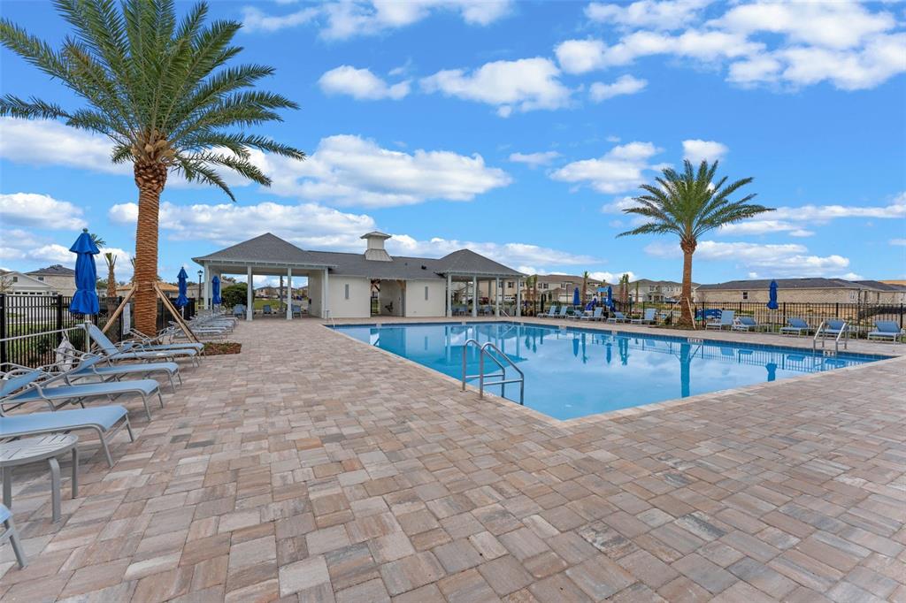 3515 Nettle Loop Tavares, FL 32778 - Photo 44 of 58 a view of swimming pool with a lounge chair