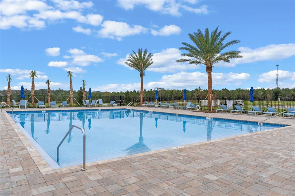 3515 Nettle Loop Tavares, FL 32778 - Photo 49 of 58 a view of a swimming pool with a terrace