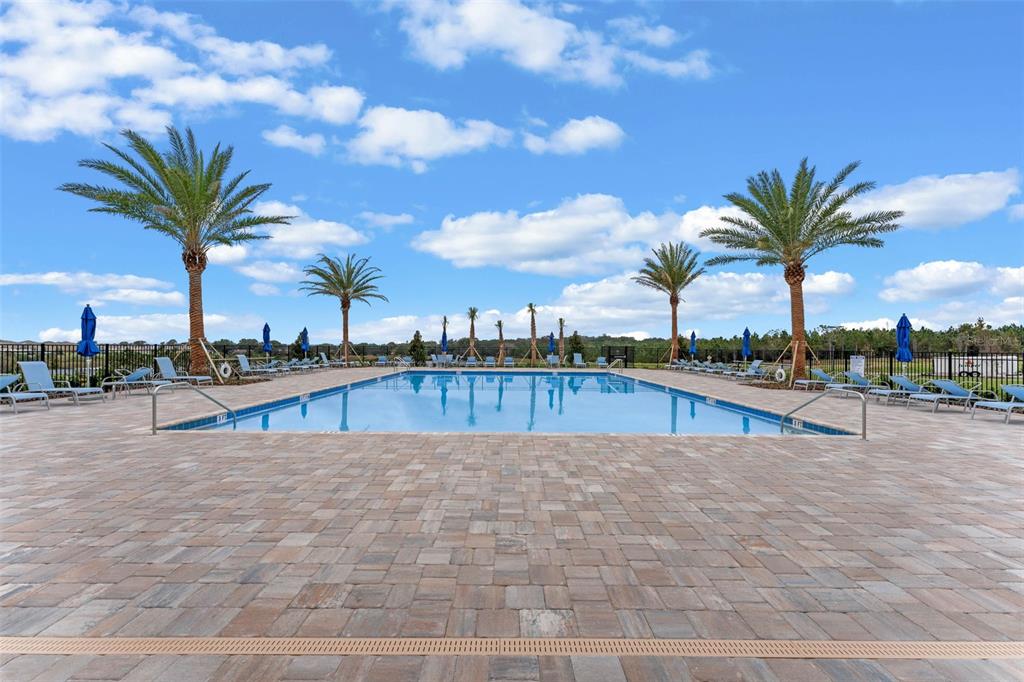 3515 Nettle Loop Tavares, FL 32778 - Photo 50 of 58 a view of swimming pool with outdoor seating and palm trees