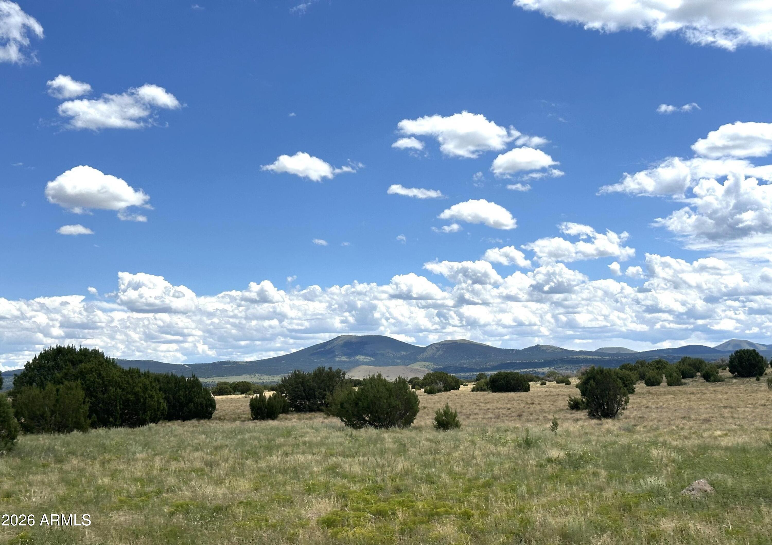 47 County Road Vernon, AZ 85940 - Photo 17 of 18 47 County Rd N3110
