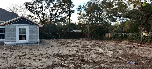 a view of a backyard with large trees