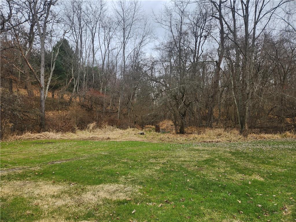 859 Old State Road Apollo, PA 15613 - Photo 9 of 10 a backyard of space with trees