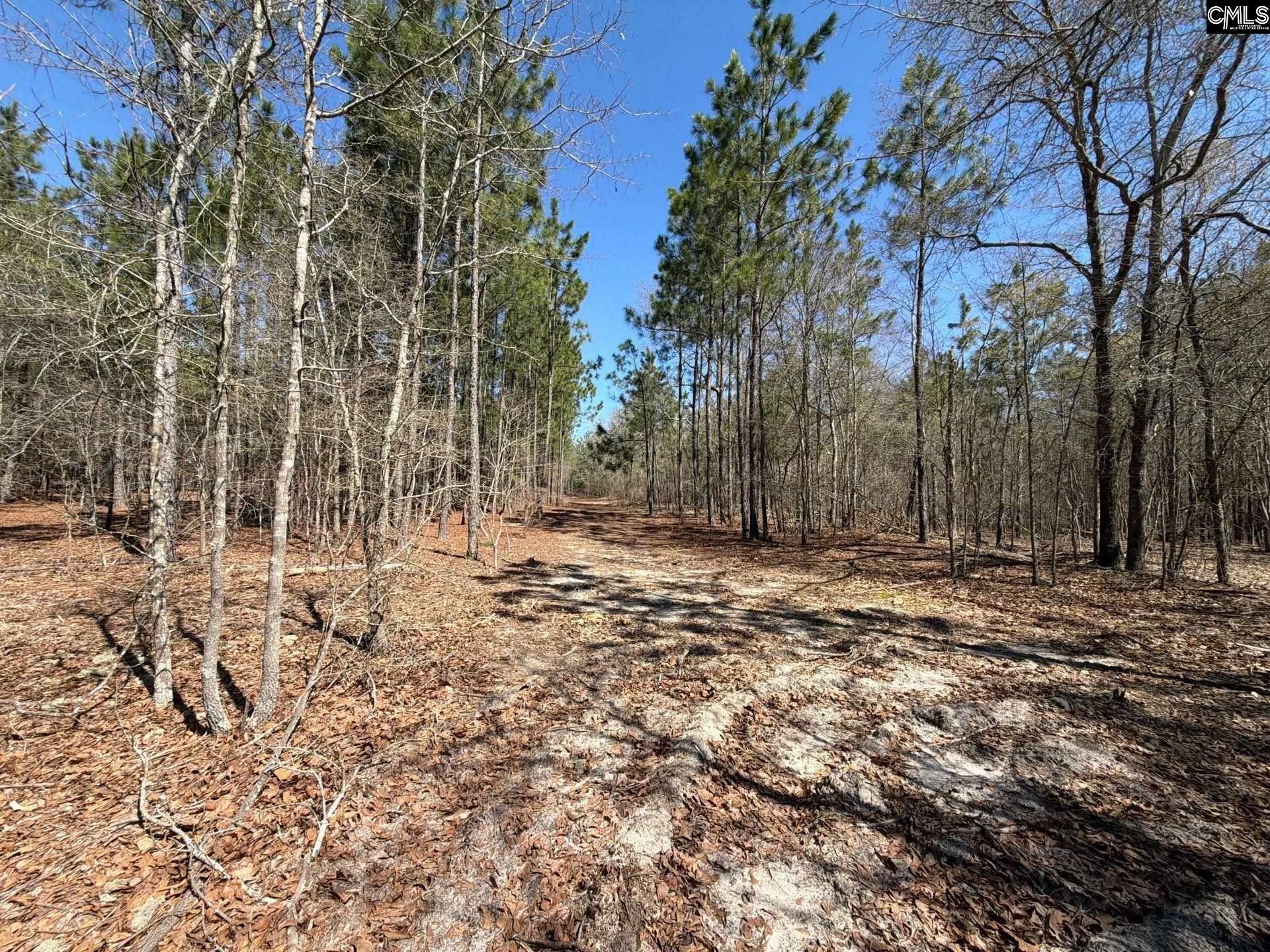 9 Boise Cascade Road, Unit BHL 9 Bethune, SC 29009 - Photo 27 of 44