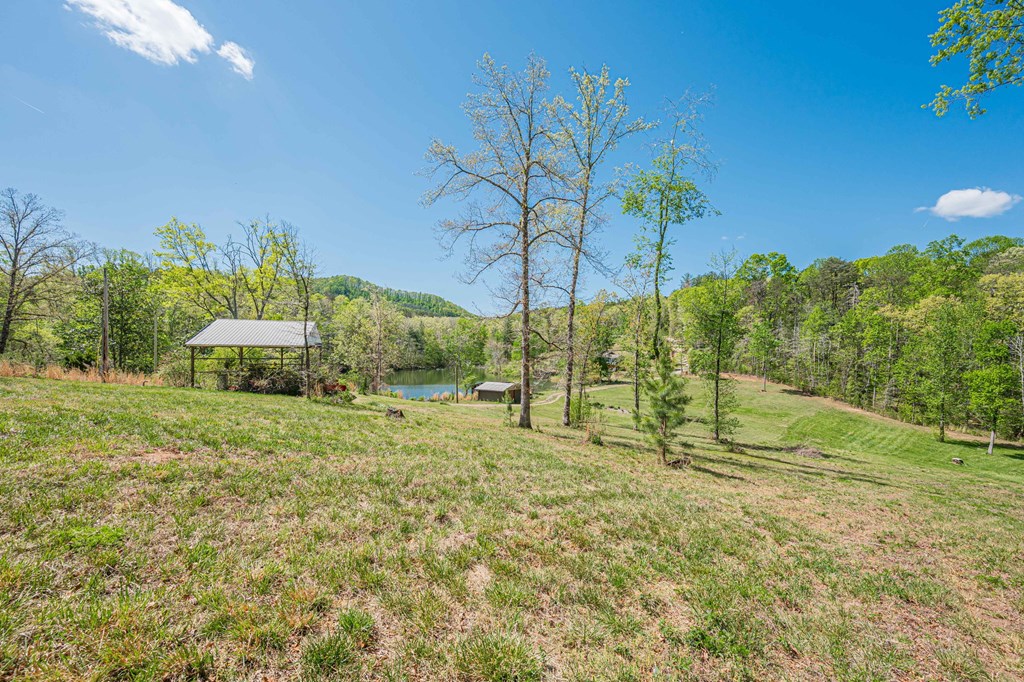 2308 Rackley Road Ellijay, GA 30536 - Photo 10 of 74 Gallery Image 10