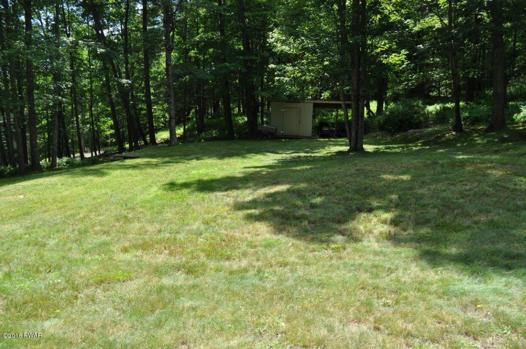 465 Plank Road Beach Lake, PA 18405 - Photo 17 of 19 Backyard