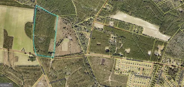 $9,000,000 | 0 Wilma Edwards Road, Ellabell, GA 31308