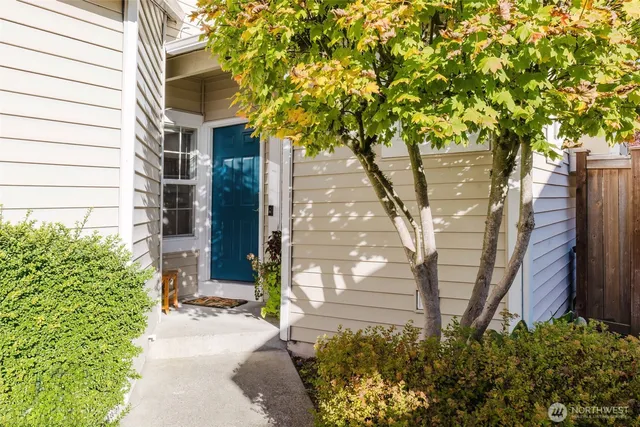 a pathway of a house with a tree