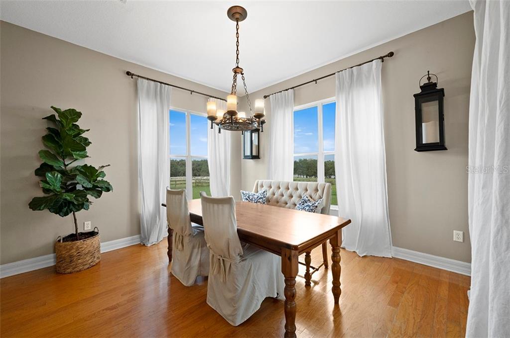 29623 Bayhead Road Dade City, FL 33523 - Photo 23 of 90 Gallery Image 23