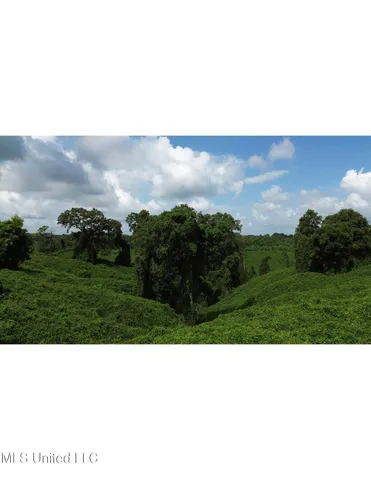 $250,000 | Ms-12, Lexington, MS 39095