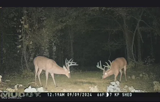 $250,000 | Ms-12, Lexington, MS 39095