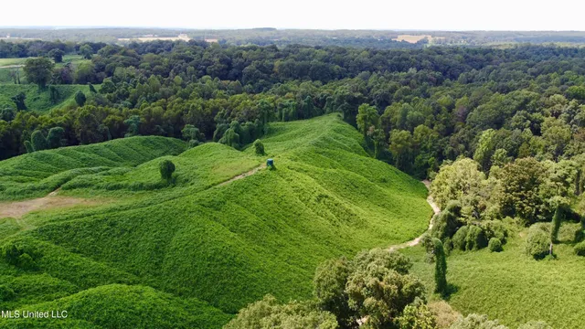 $250,000 | Ms-12, Lexington, MS 39095