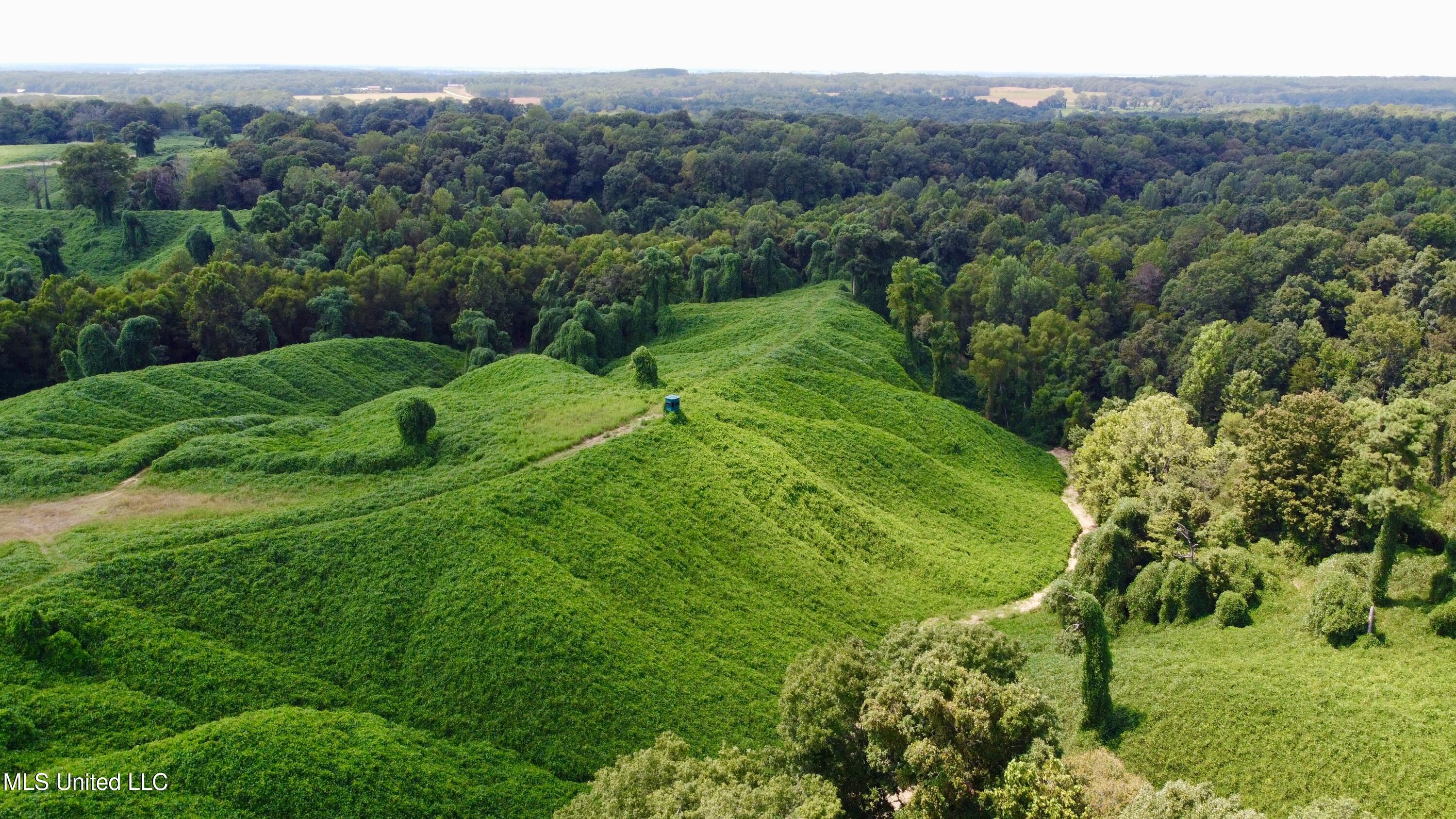 Ms-12 Lexington, MS 39095 - Photo 4 of 17 DJI_0100