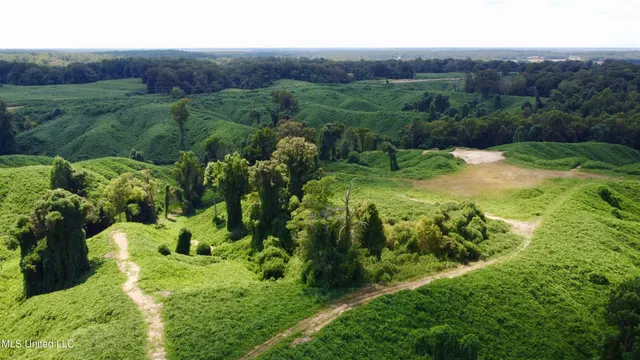 $250,000 | Ms-12, Lexington, MS 39095