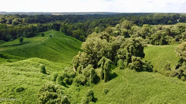 $250,000 | Ms-12, Lexington, MS 39095