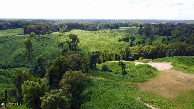 $250,000 | Ms-12, Lexington, MS 39095