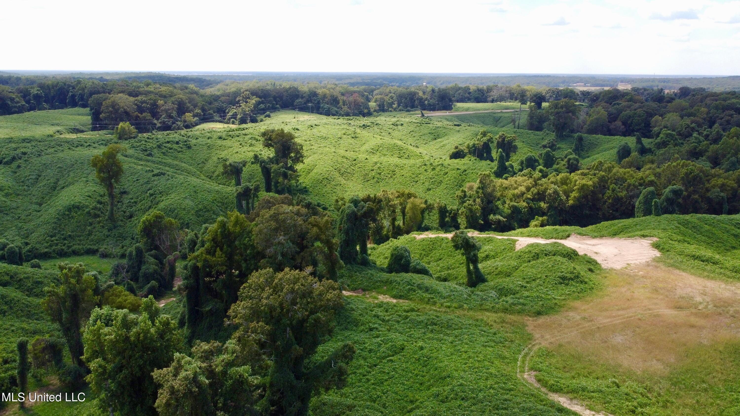 Ms-12 Lexington, MS 39095 - Photo 7 of 17 DJI_0094