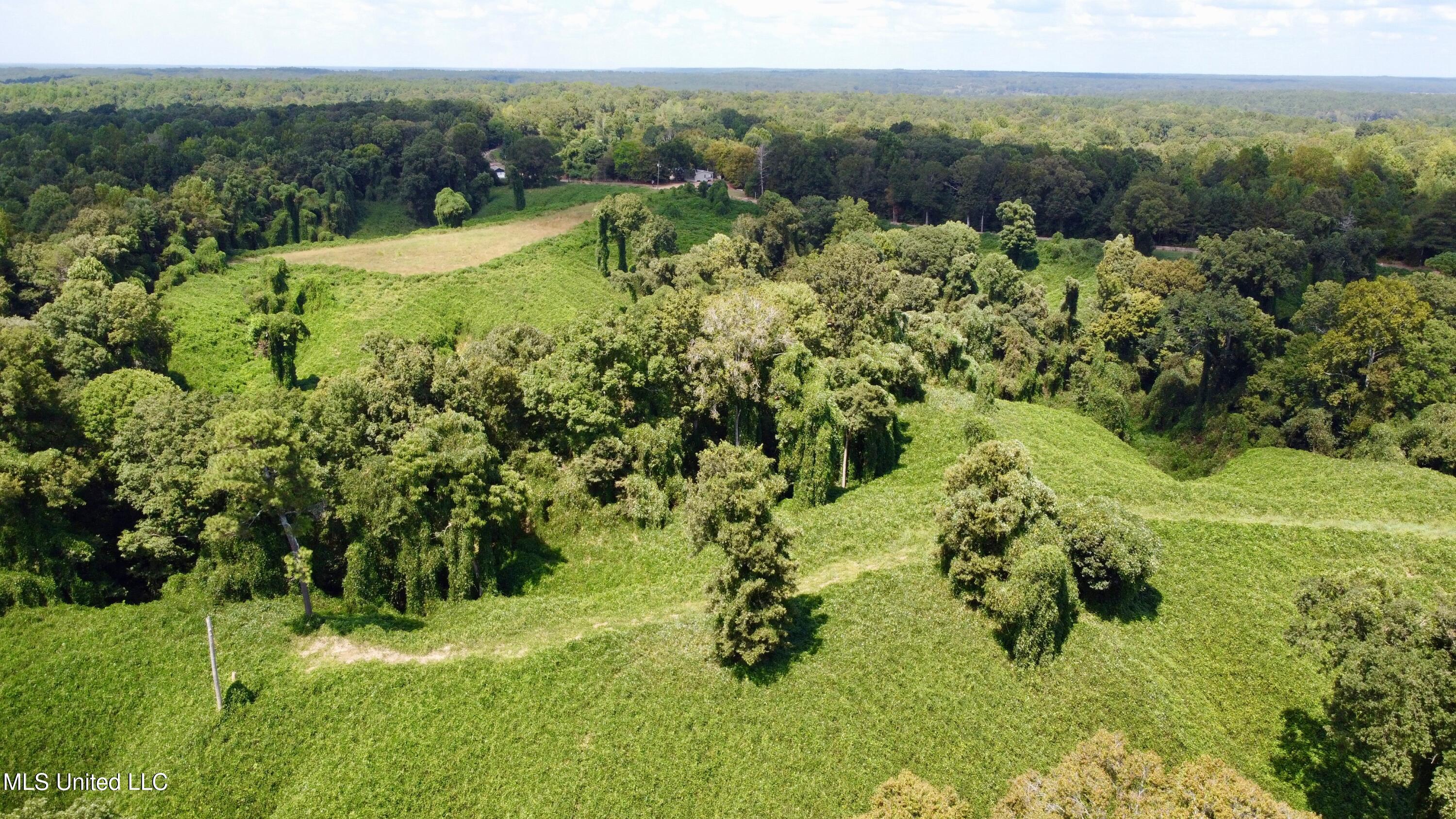 Ms-12 Lexington, MS 39095 - Photo 8 of 17 DJI_0099